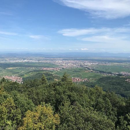 Le Belvedere - Gites Marck Turckheim Dış mekan fotoğraf