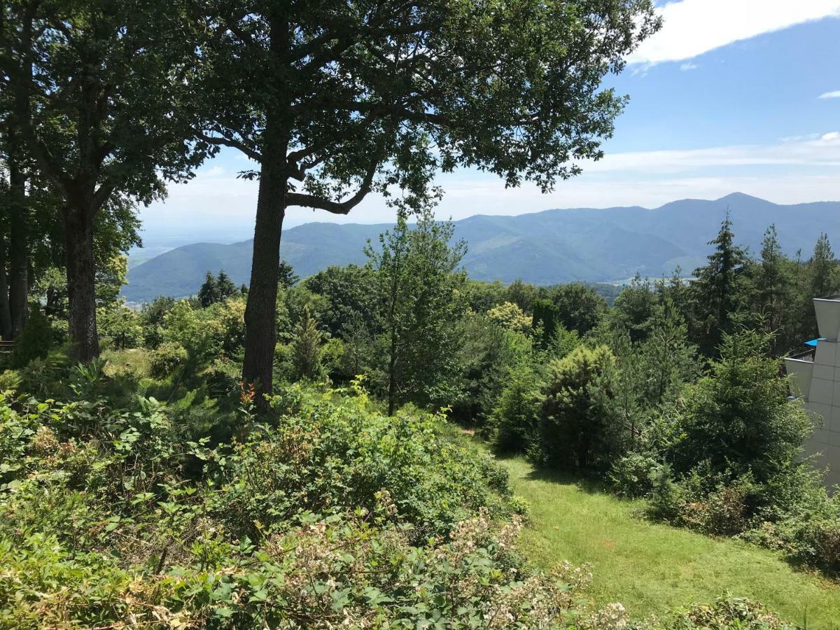 Le Belvedere - Gites Marck Turckheim Dış mekan fotoğraf