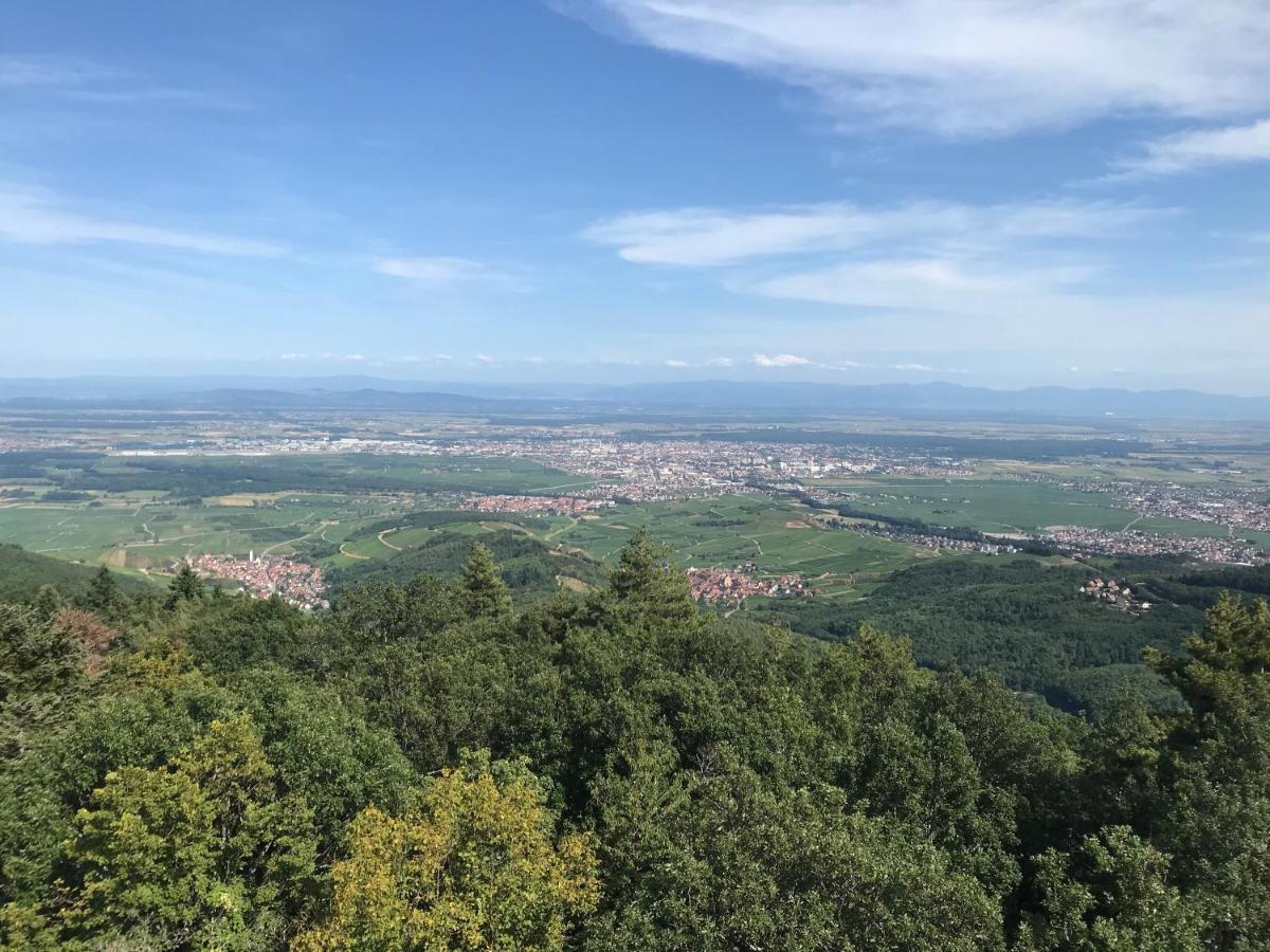 Le Belvedere - Gites Marck Turckheim Dış mekan fotoğraf
